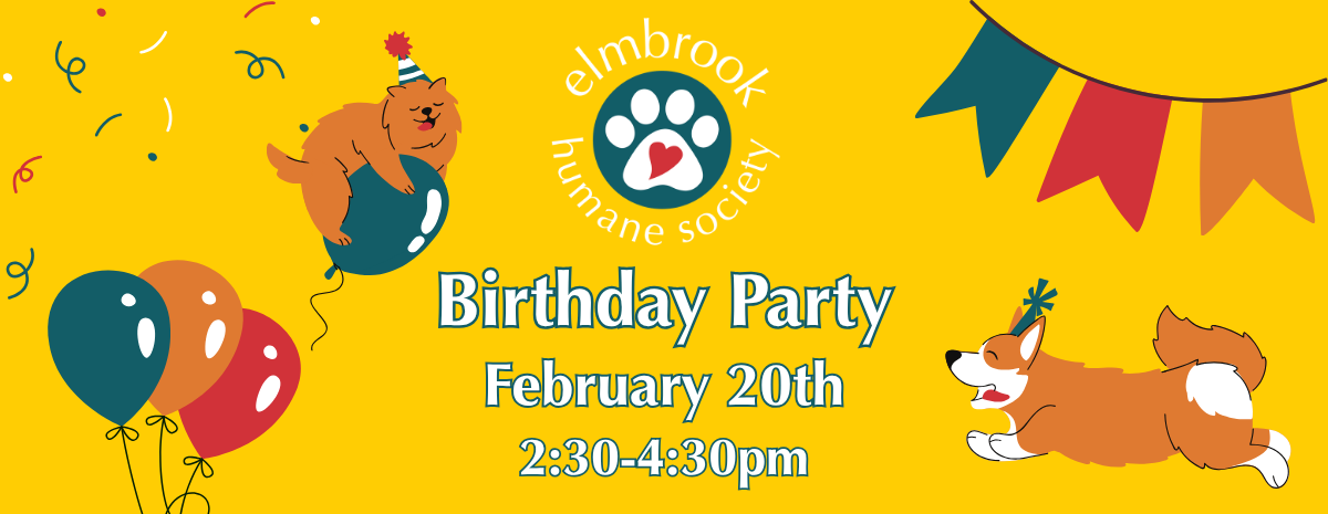 Birthday Party - 02/20/27